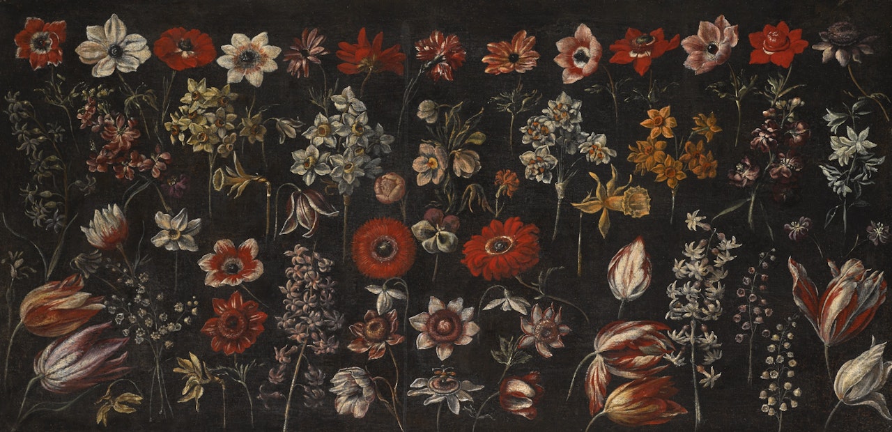 FLOWER STUDIES: TULIPS, HYACINTHS, DAFFODILS, POPPIES, LILY OF THE VALLEY, ANENOMES, JONQUILS AND OTHER FLOWERS by Florentine School