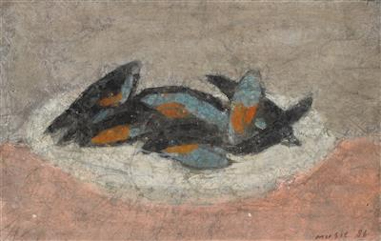 Mussels by Zoran Antonio Music