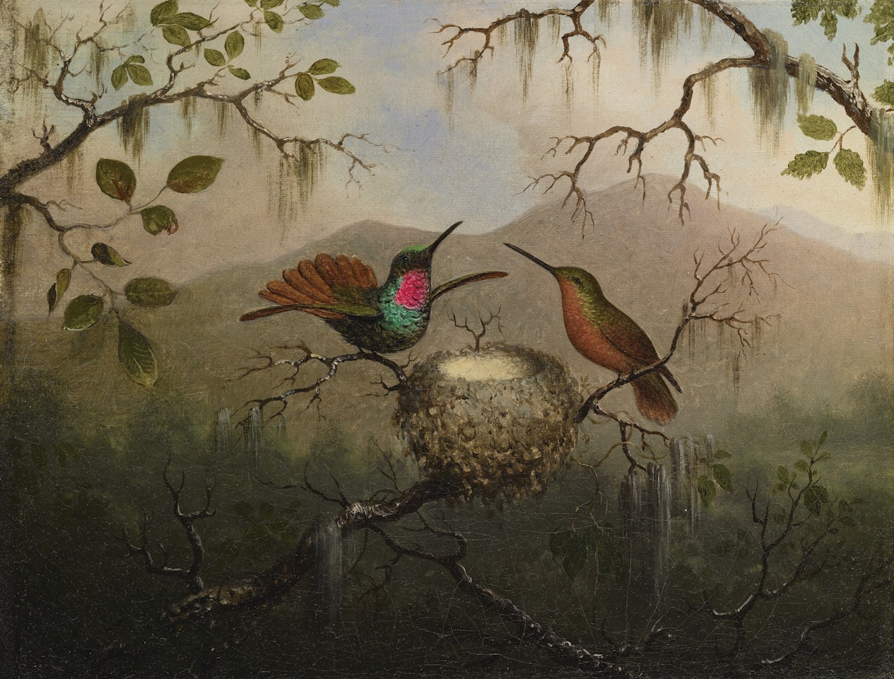 TWO HUMMINGBIRDS AT A NEST by Martin Johnson Heade