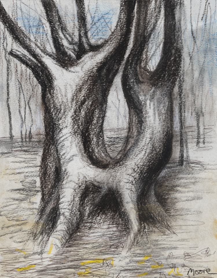 TREE TRUNK by Henry Moore