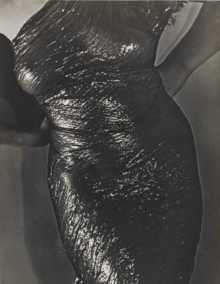 TORSO (LAMA [ SIC ] SHEATH)' by Man Ray