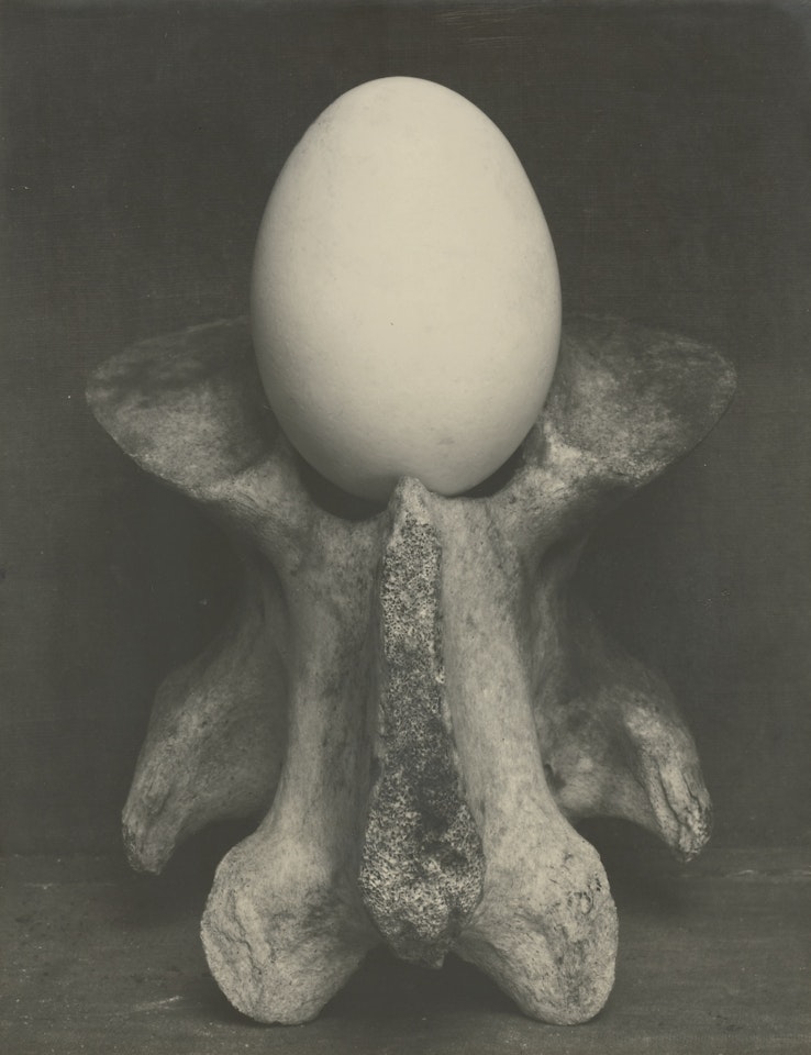 EGG AND BONE' by Edward Weston