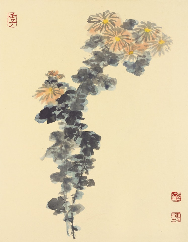 CHRYSANTHEMUMS by Zhang Daqian