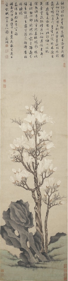 MAGNOLIA by Wen Zhengming