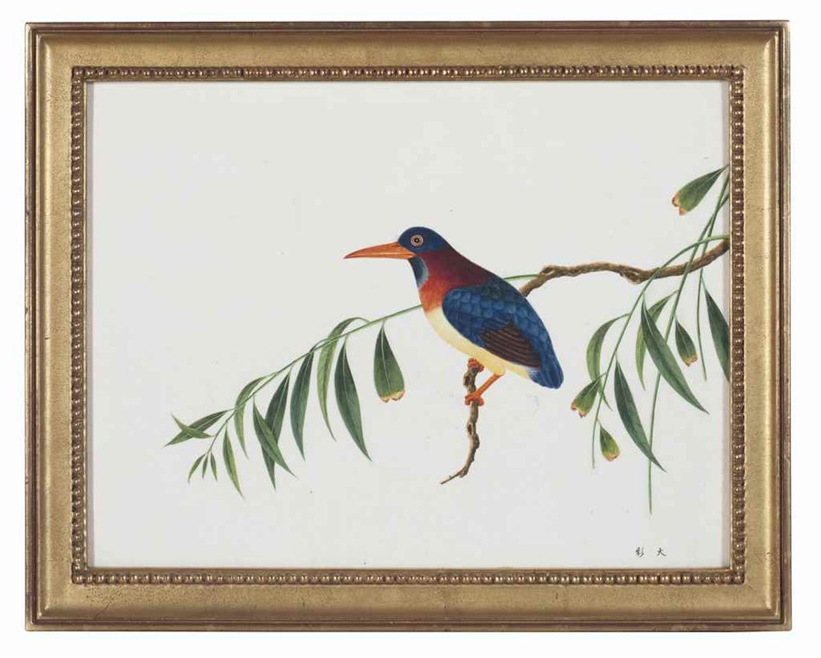 A SET OF 22 ORNITHOLOGICAL STUDIES by Chinese School