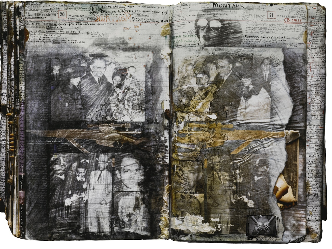 DIARY PAGE by Peter Beard
