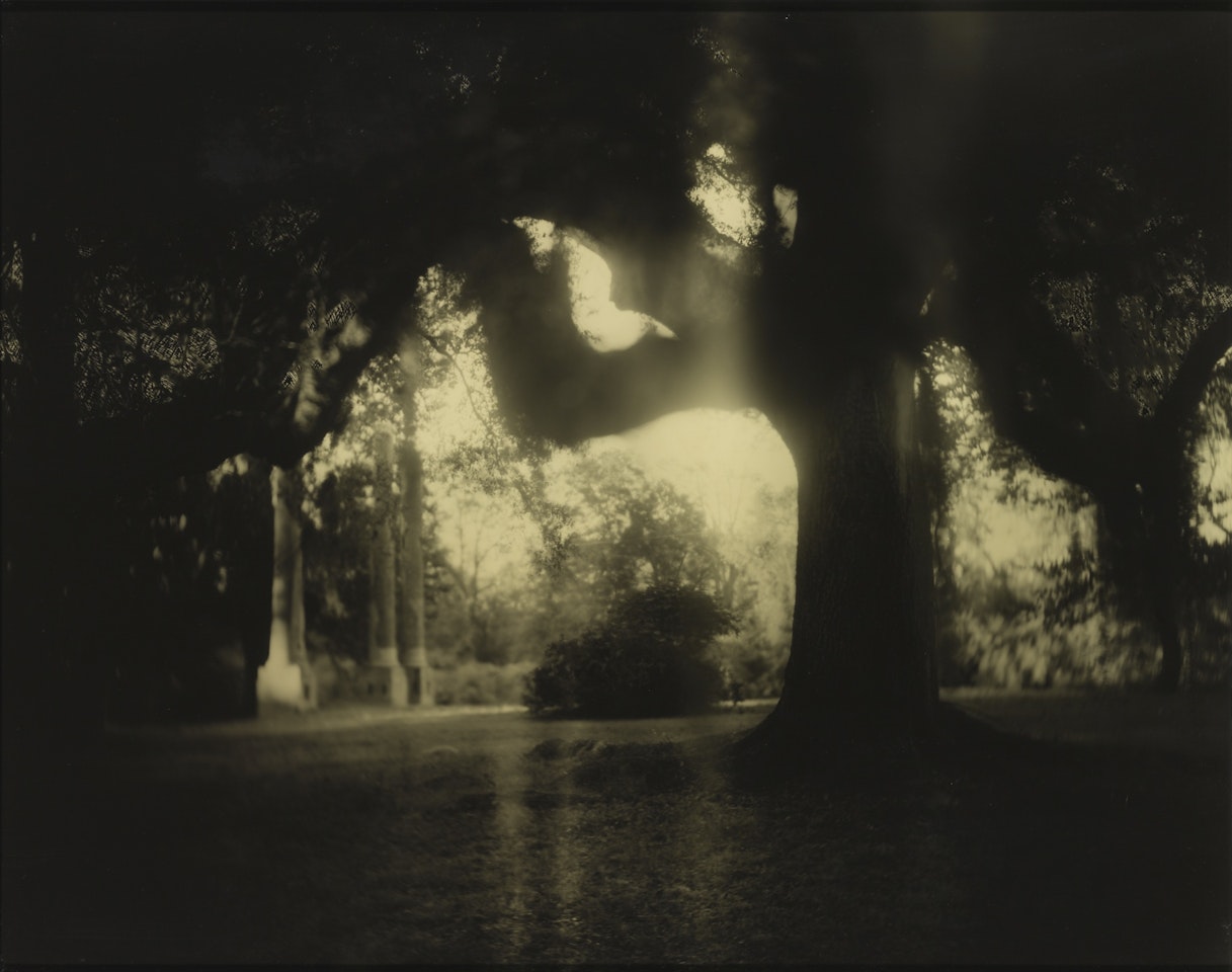 UNTITLED (DEEP SOUTH #04) by Sally Mann