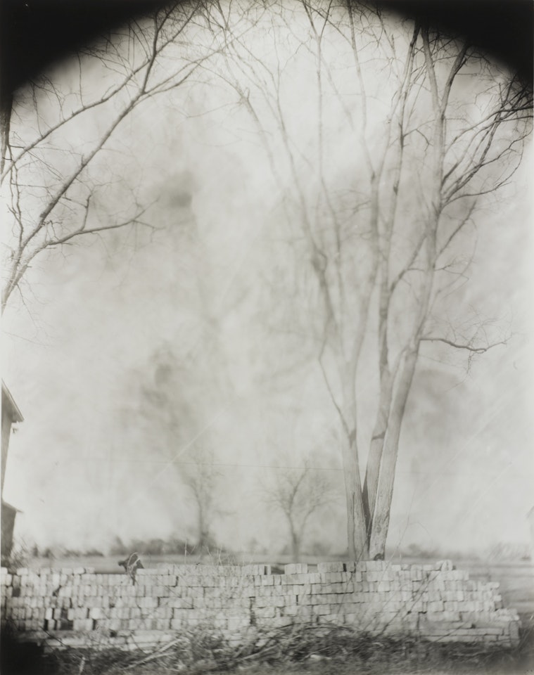 UNTITLED (GEORGIA) by Sally Mann