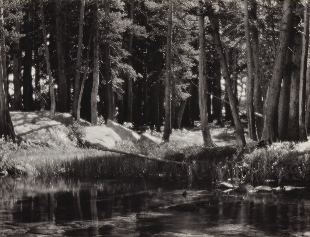 FOREST AND STREAM, LYELL FORK OF THE MERCED RIVER, YOSEMITE NATIONAL PARK, CALIFORNIA' by Ansel Adams