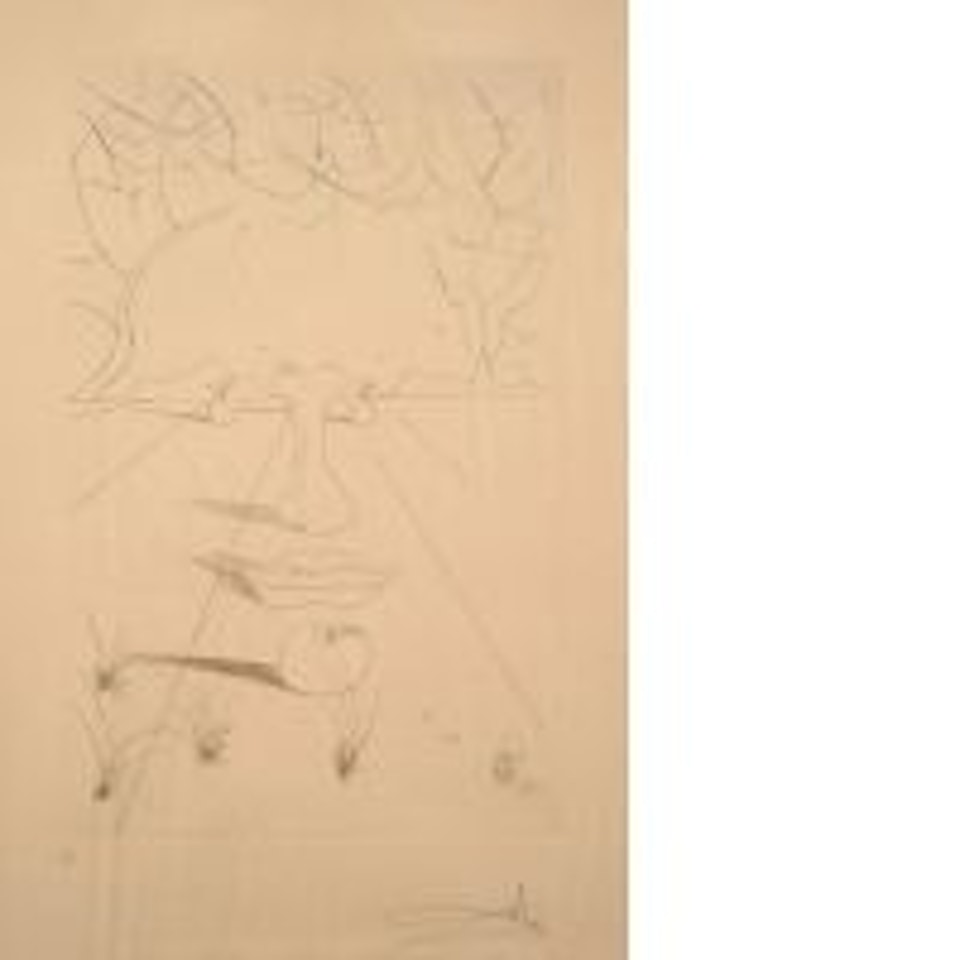 Surrealist Face by Salvador Dali