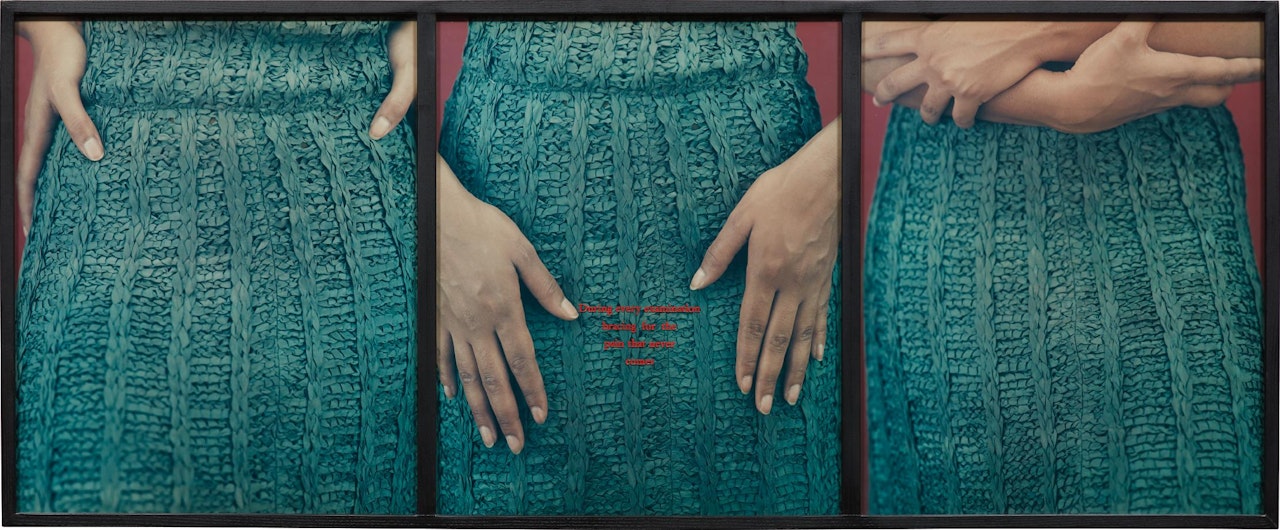 Lower Region by Lorna Simpson