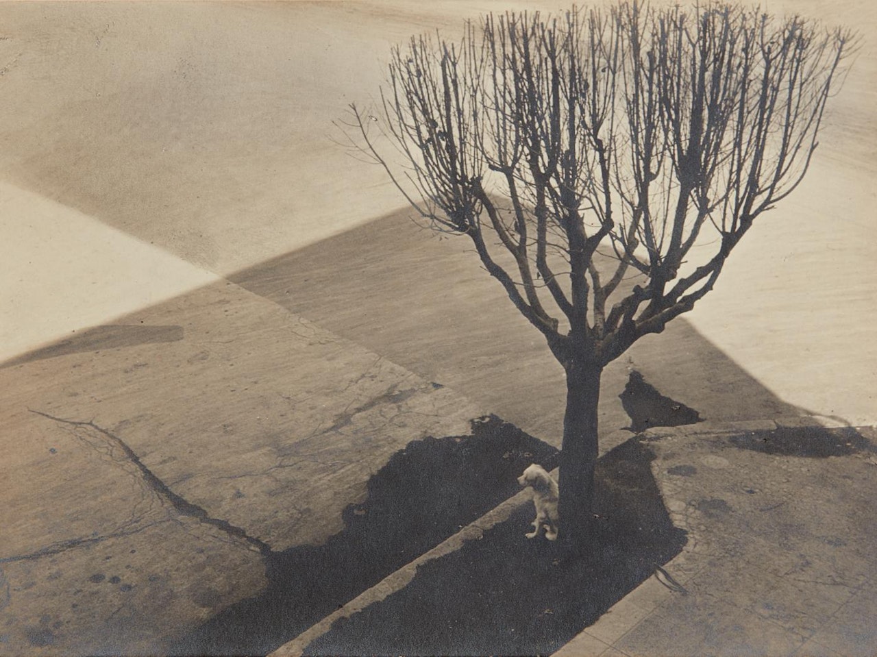 Untitled, Mexico City by Tina Modotti