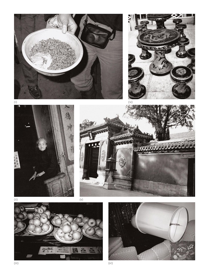 Six works: (i) Maggots; (ii) Unidentified Woman; (iii) Apples; (iv) Tables and Chairs; (v) Temple Gates; (vi) Hotel Room by Andy Warhol