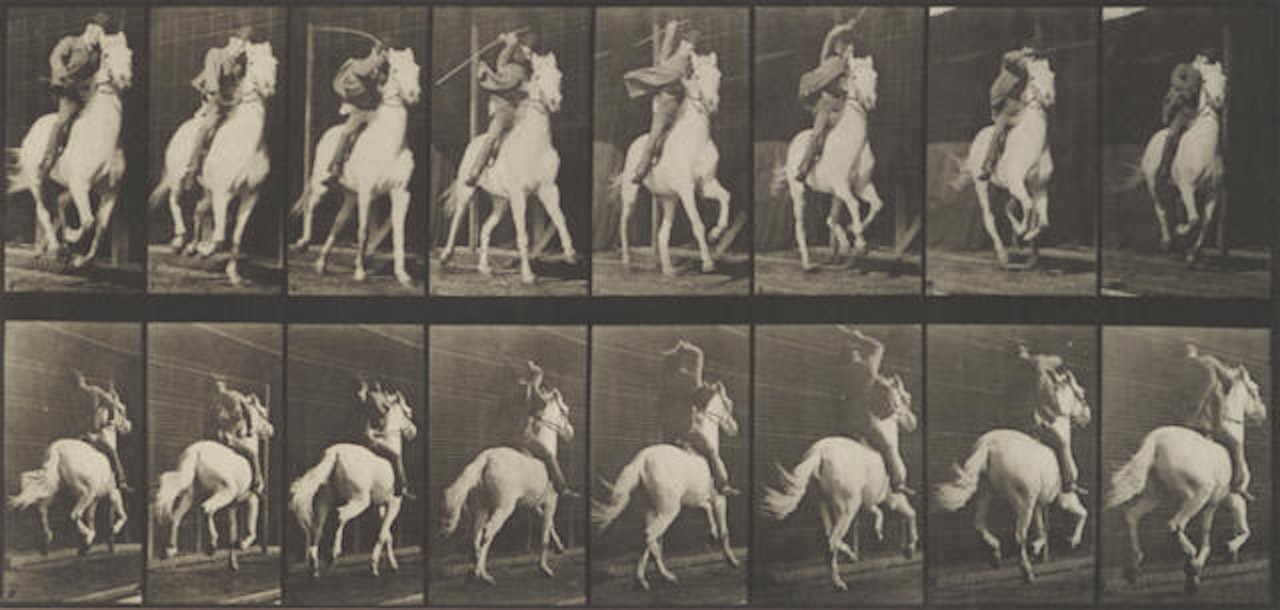 Pl. 634 (Galloping Horse), from Animal Locomotion by Eadweard Muybridge