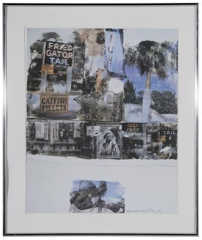 Catfish Tails by Robert Rauschenberg