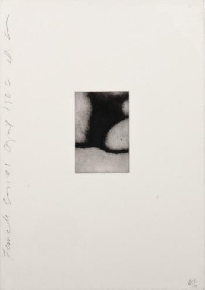 Female series by Donald Sultan