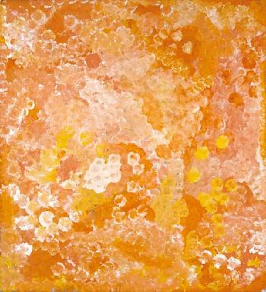Wild Flower Dreaming by Emily Kame Kngwarreye