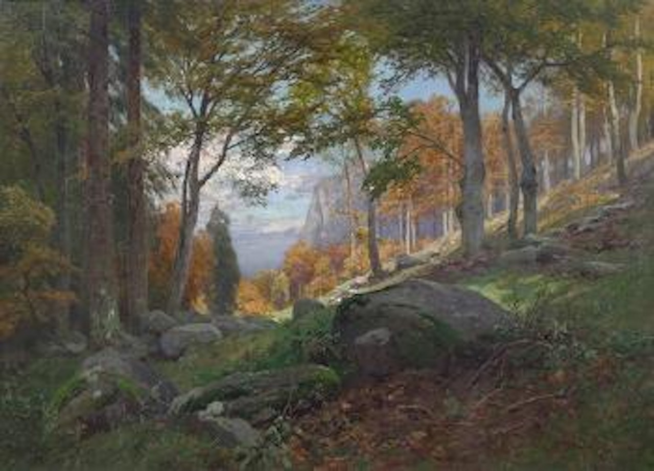 Sunlight through the woods by Peder Mork Monsted