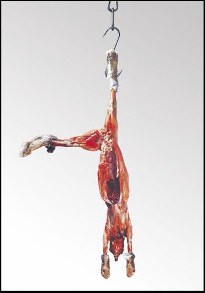 Coniglio appeso by Michelangelo Pistoletto