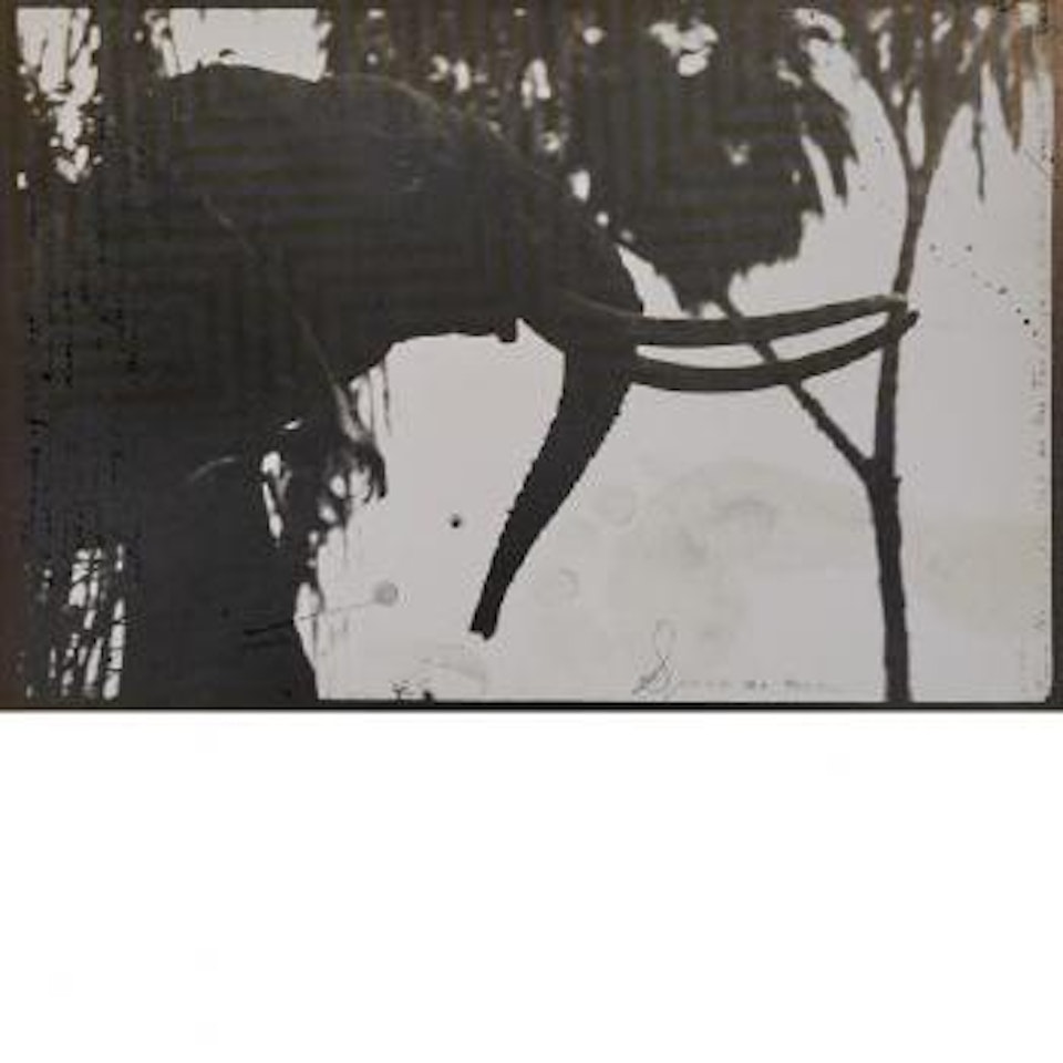 Spoor No More by Peter Beard