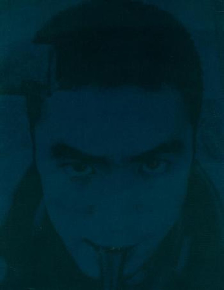Mishima by Gottfried Helnwein