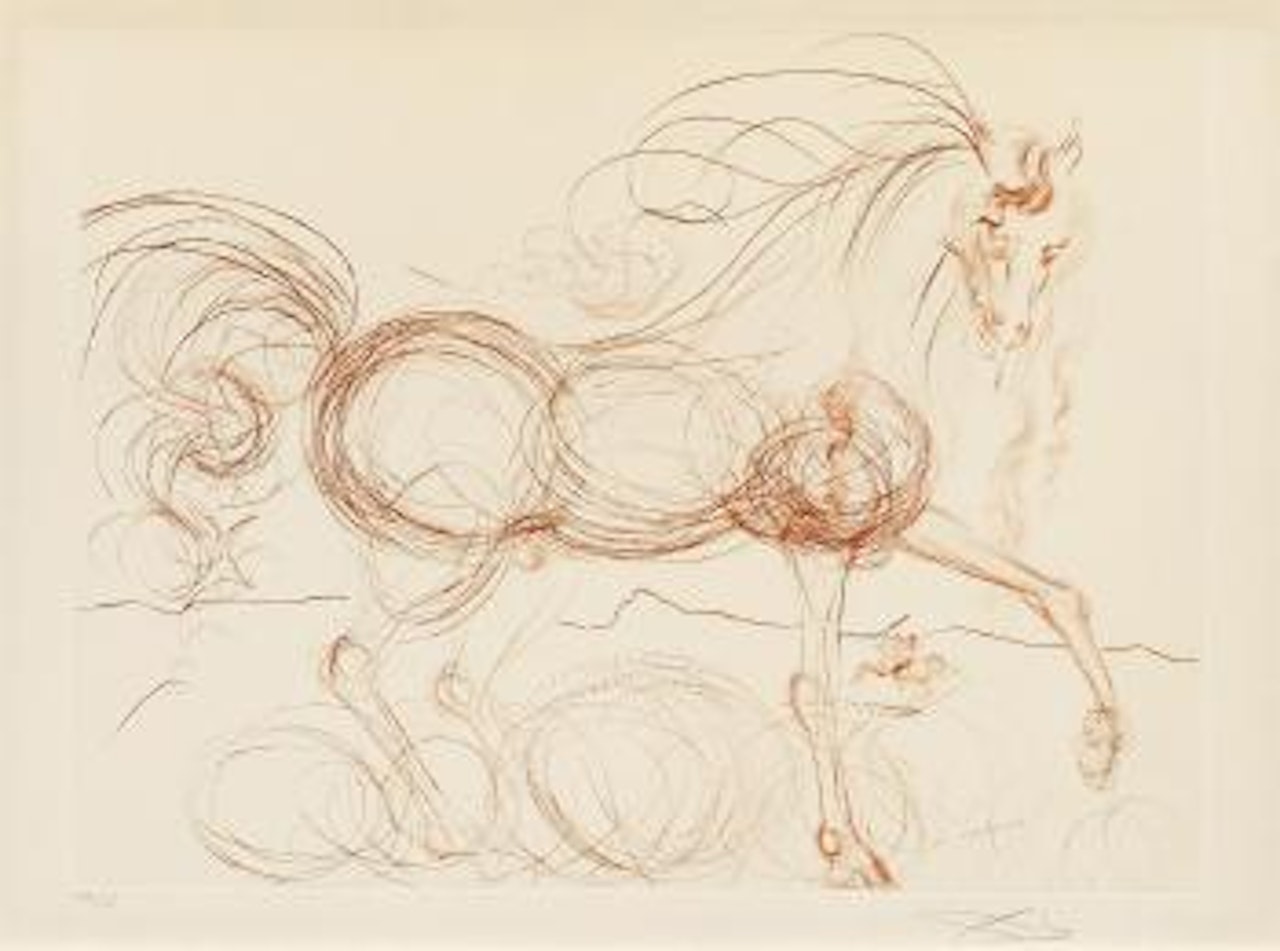 L'Etalon blanc by Salvador Dali
