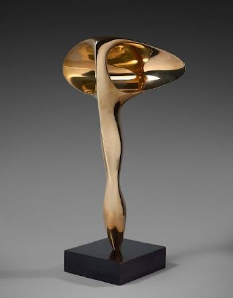 L'oreille à reflets by Antoine Poncet