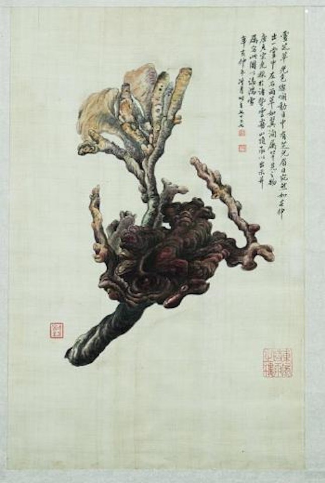 Ling Zhi by Lengyue Tao