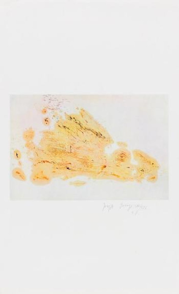 Coniglio by Joseph Beuys