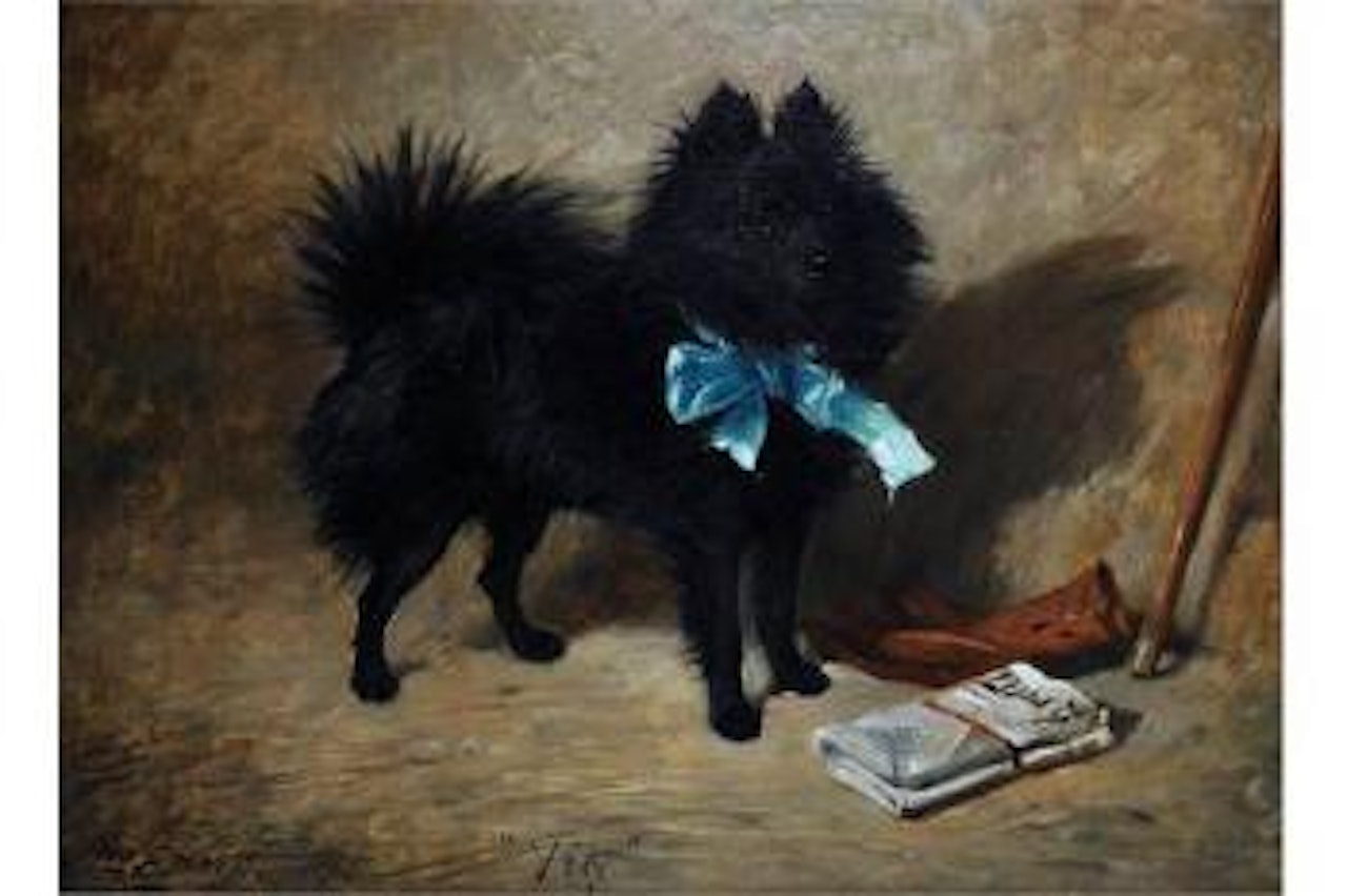 Fitz, Study of a Black Pomeranian with a Pink Bow by John Emms