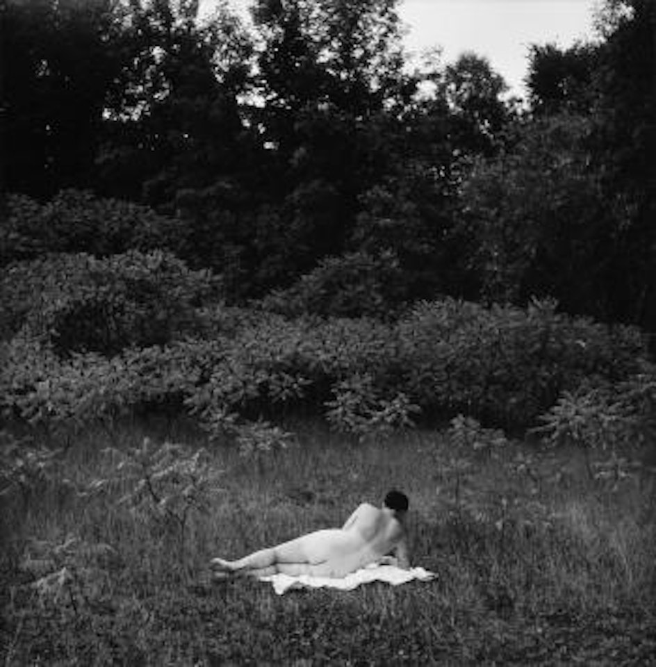 Eleanor, Port Huron by Harry Callahan