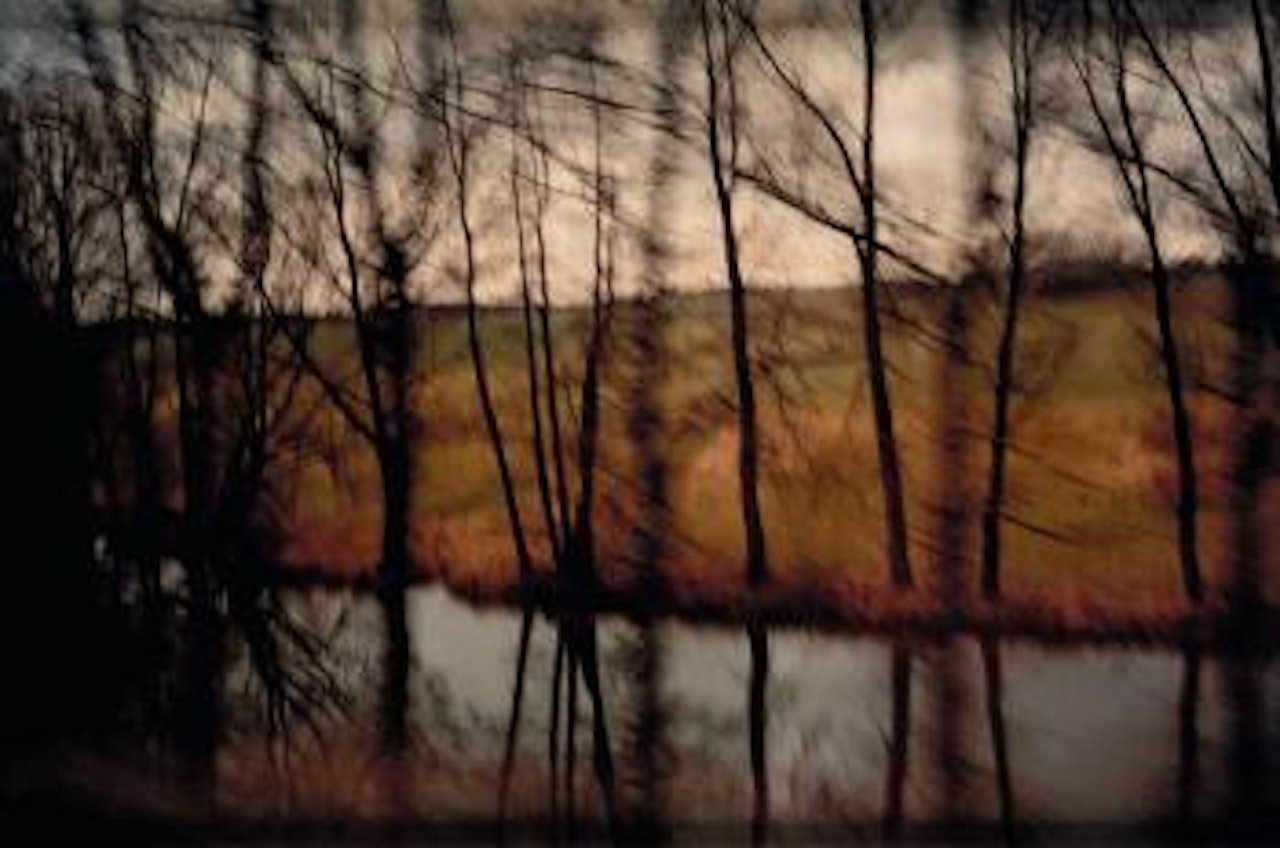 Trees By the River, Munich by Nan Goldin