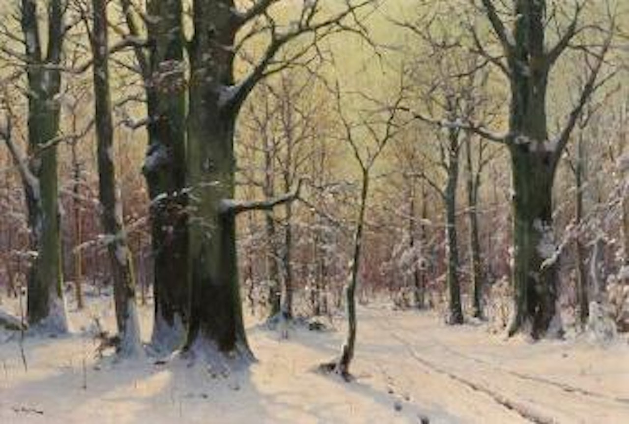 Verschneiter Buchenwald by Walter Moras
