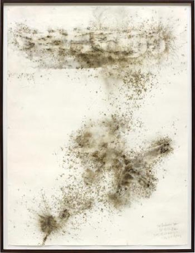 Life beneath the shadow: The brahan seer by Cai Guo-Qiang