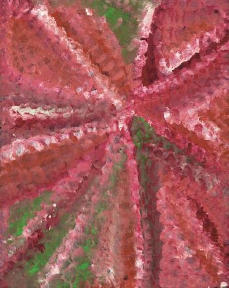 Alatyite Altyerre / Spinifex Dreaming by Emily Kame Kngwarreye