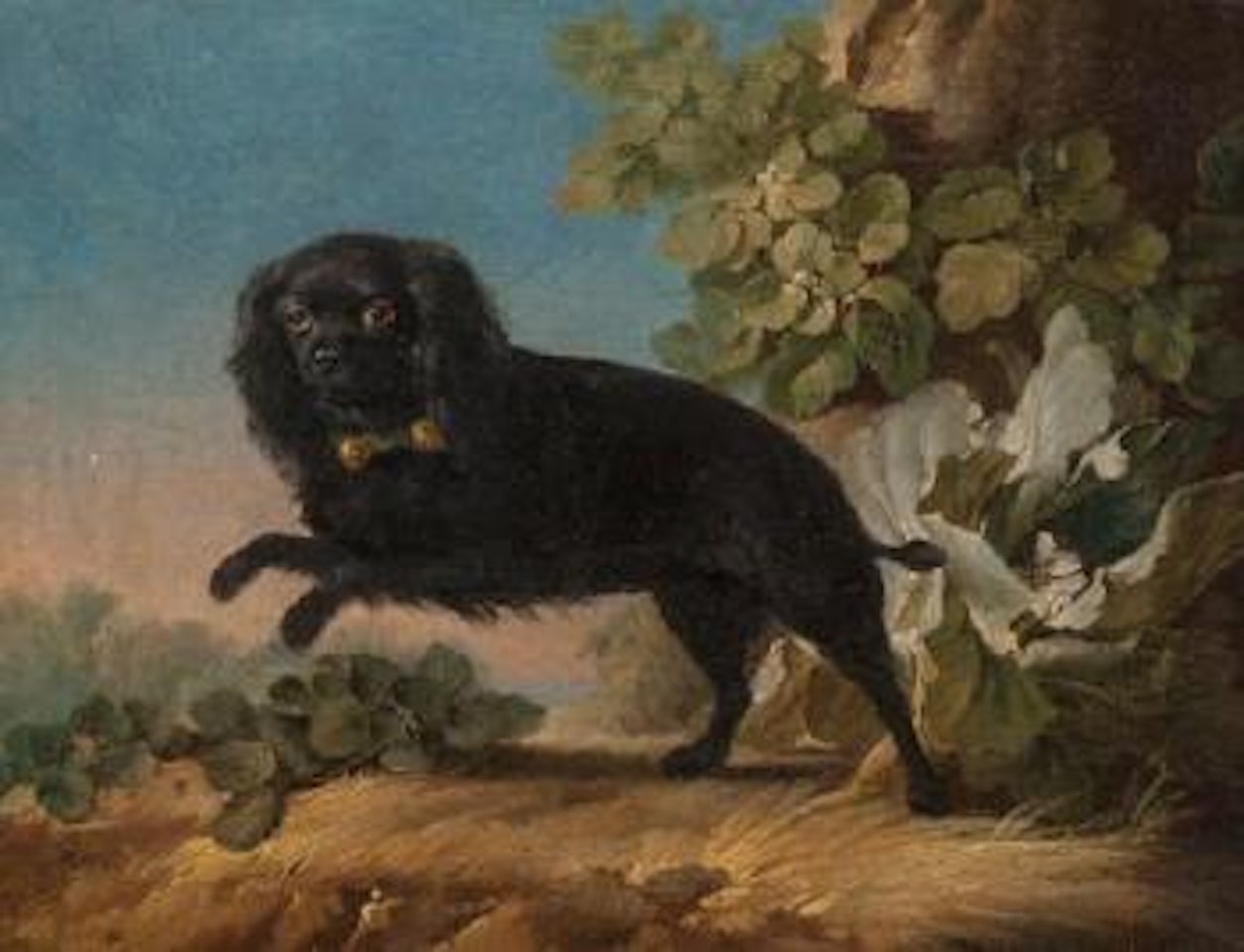 Mimi, le chien favorite de madame de Pompadour by Jean Jacques Bachelier