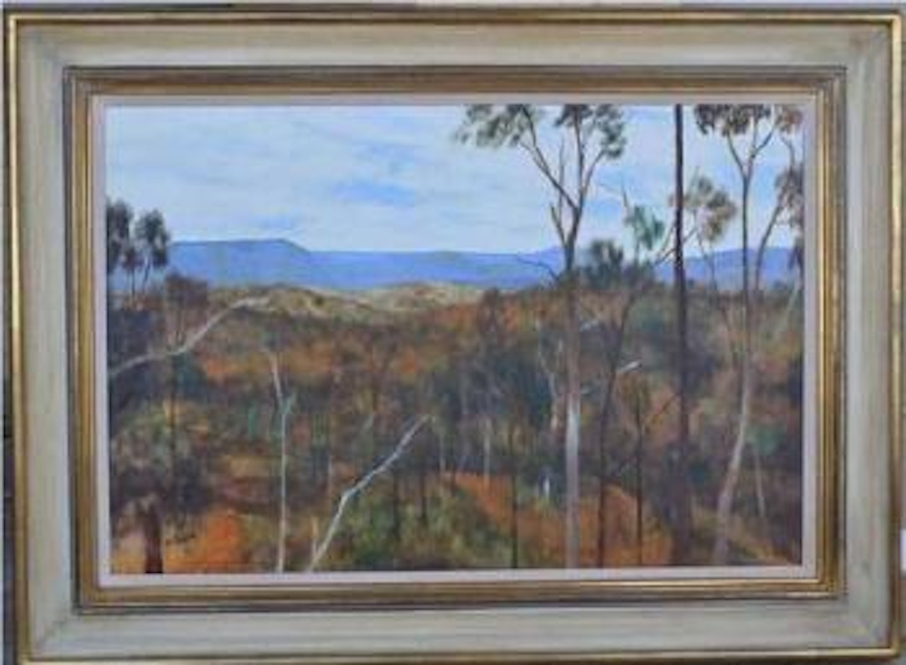 Rockhampton Hinterland by Ray Austin Crooke