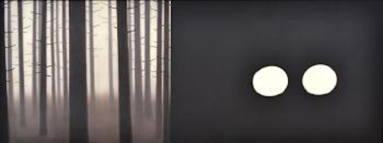 Forest and lights - split by Andrew Browne
