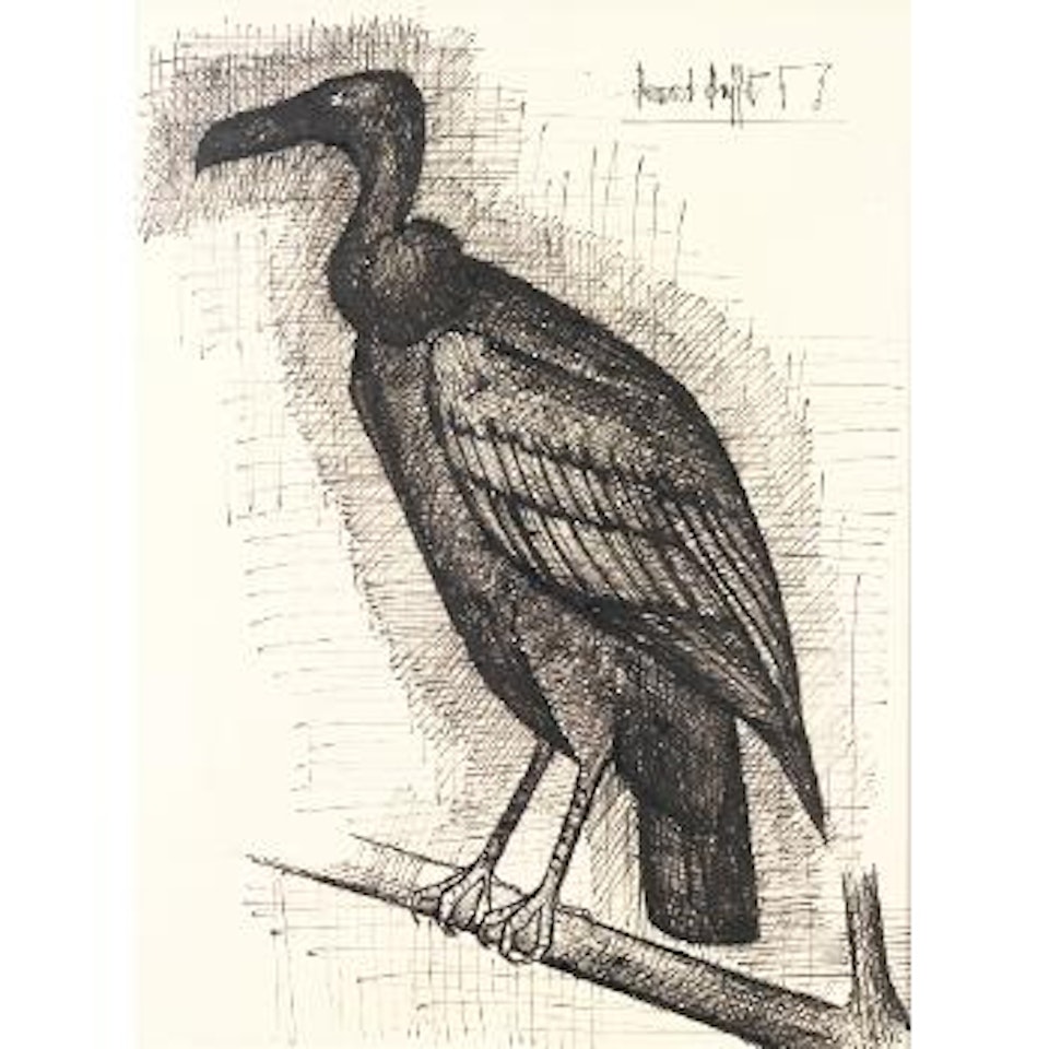 Le bestiaire - Vautour by Bernard Buffet