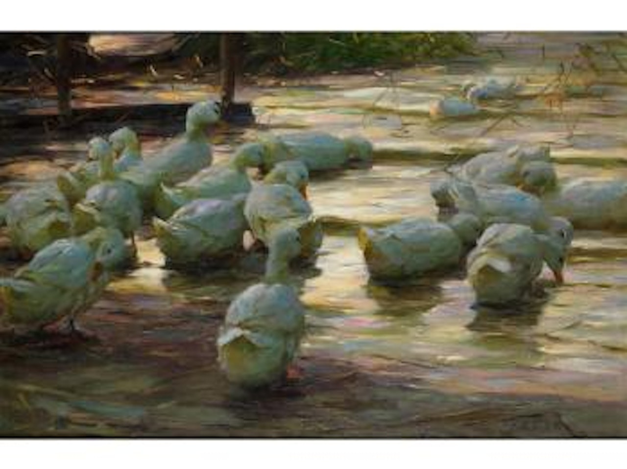 17 Enten Am Seeufer by Alexander Koester