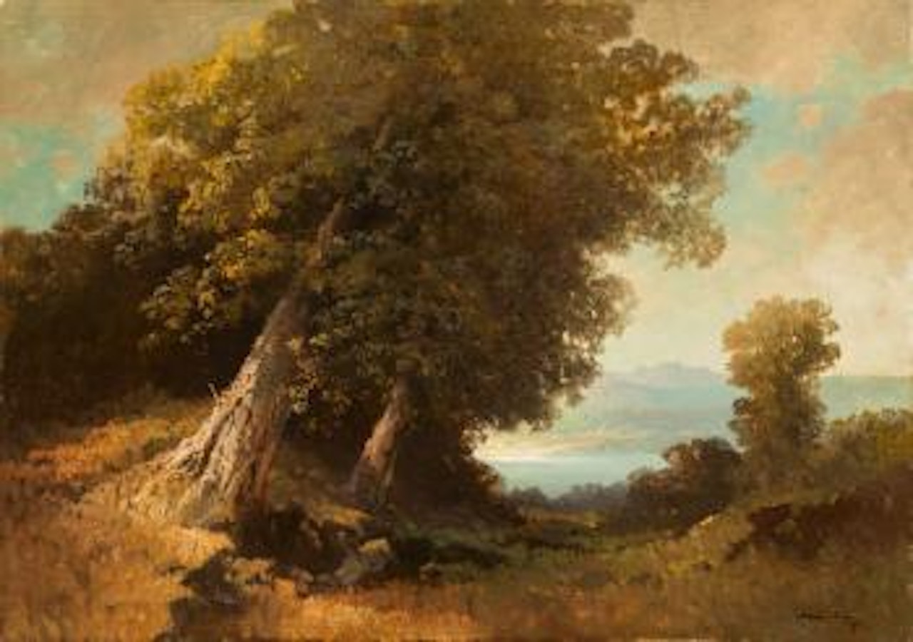 Waldlandschaft mit Seeblick by Oskar Mulley