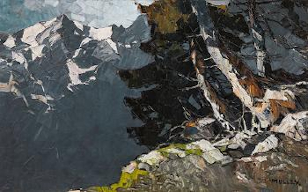 Gebirgslandschaft mit Bäumen by Oskar Mulley