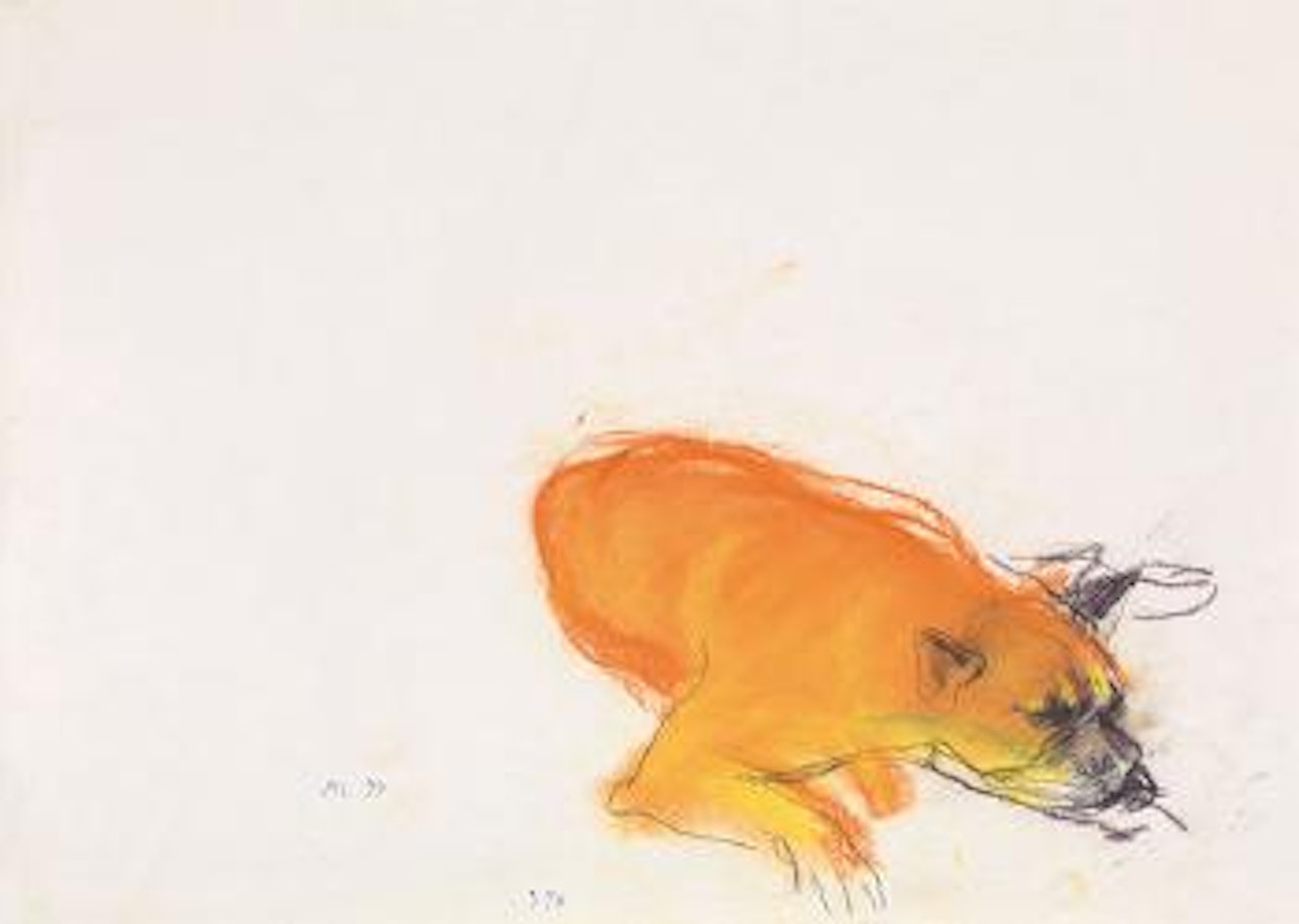 Hund by Maria Lassnig