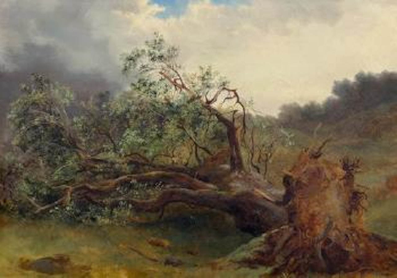 Arbre Tombé by Alexandre Calame
