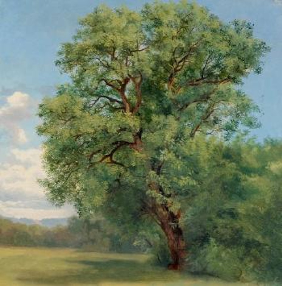 Châtaignier by Alexandre Calame