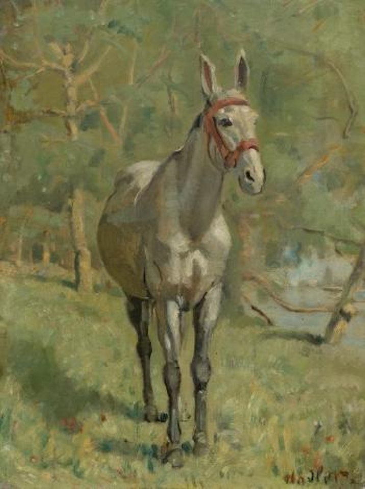 Mule in a Spanish landscape by Ferdinand Hodler
