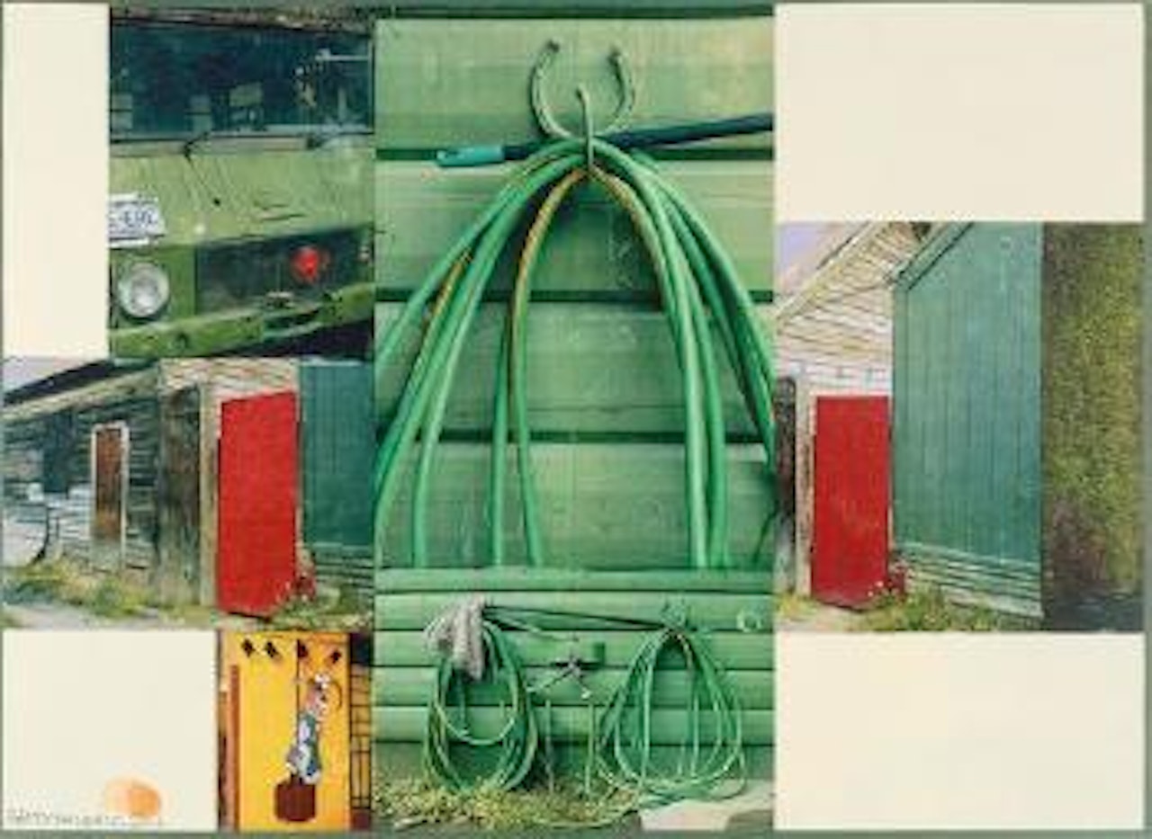 Algae by Robert Rauschenberg