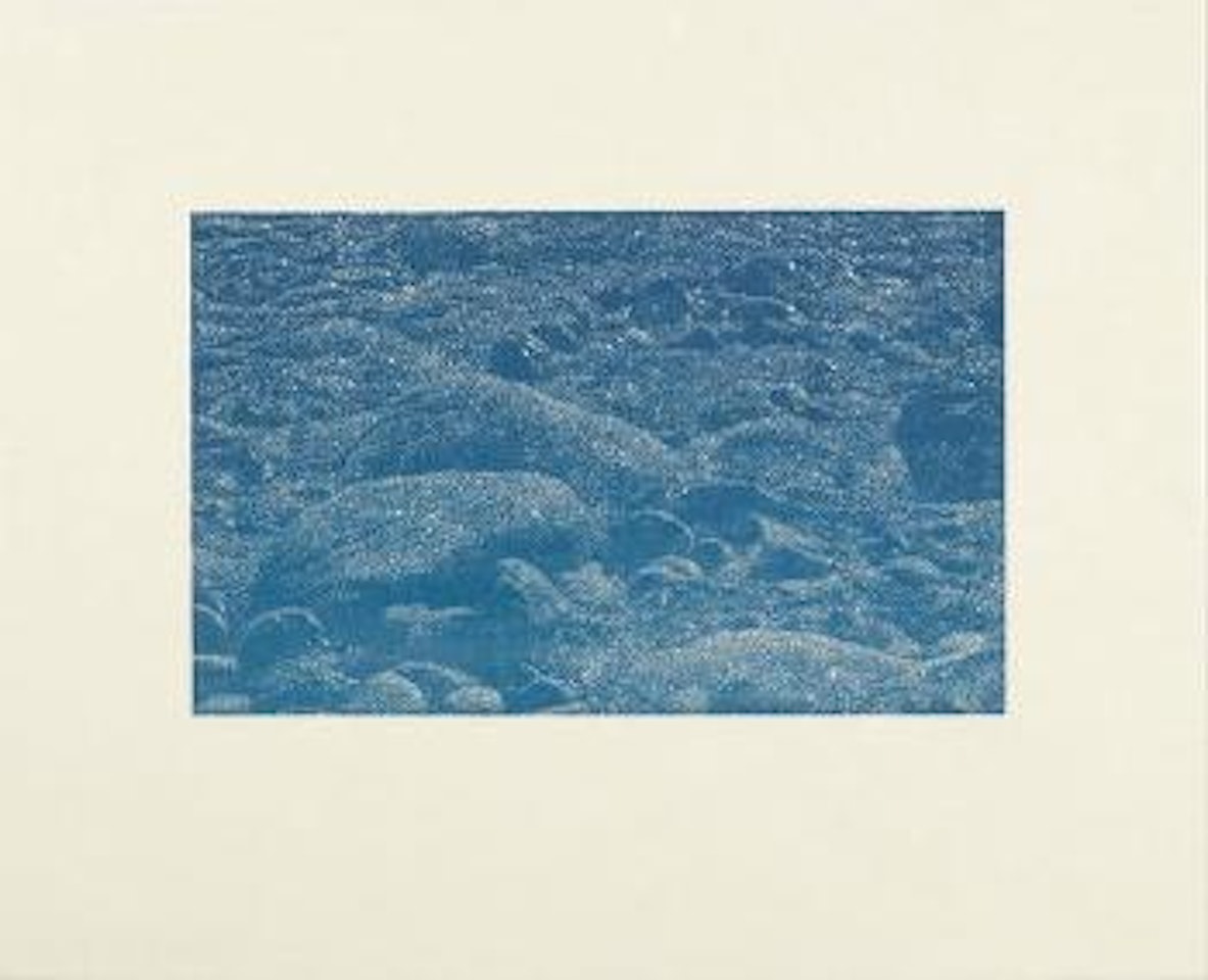 Cima Del Mar (Détail 2) by Franz Gertsch