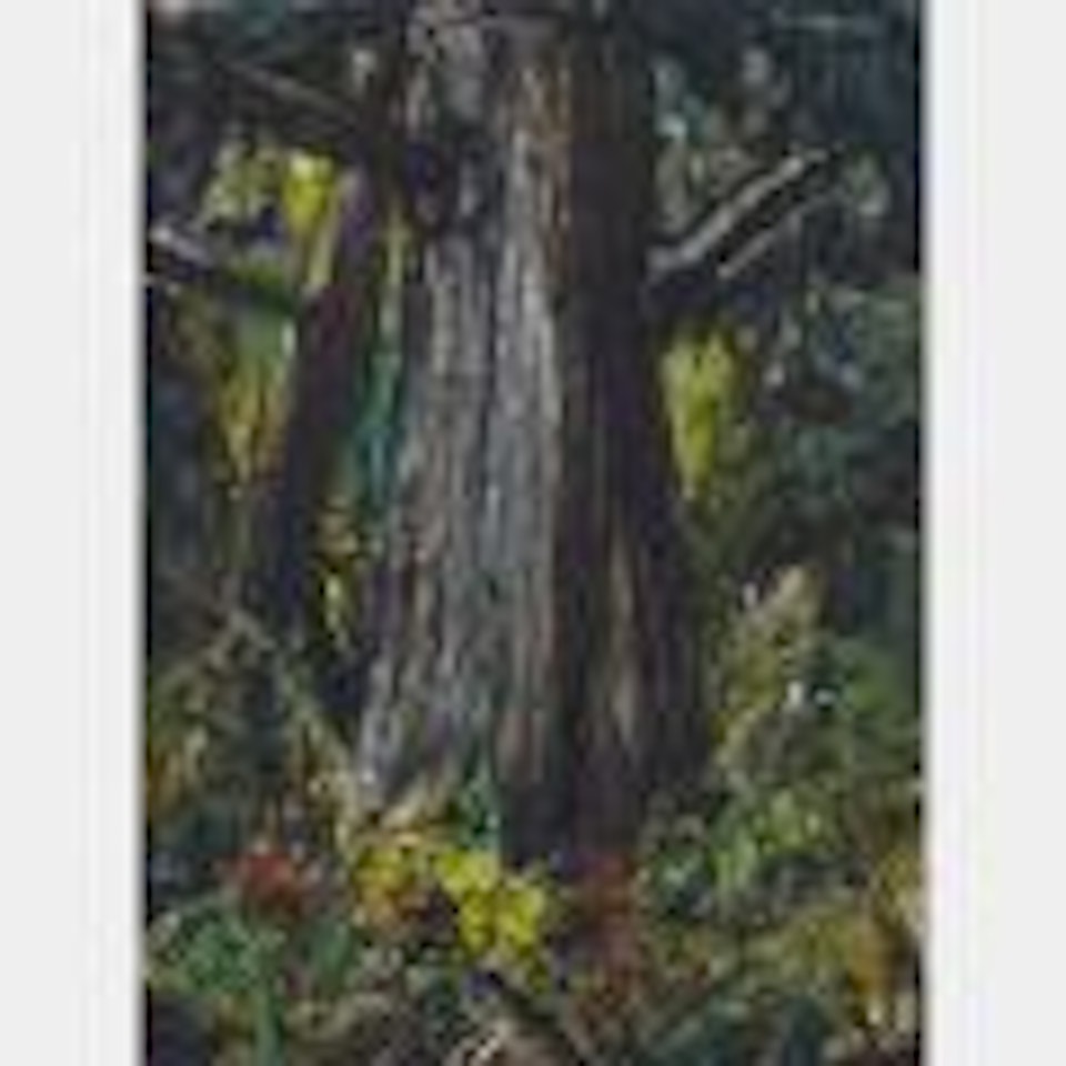 Forest Interior by Arthur Lismer