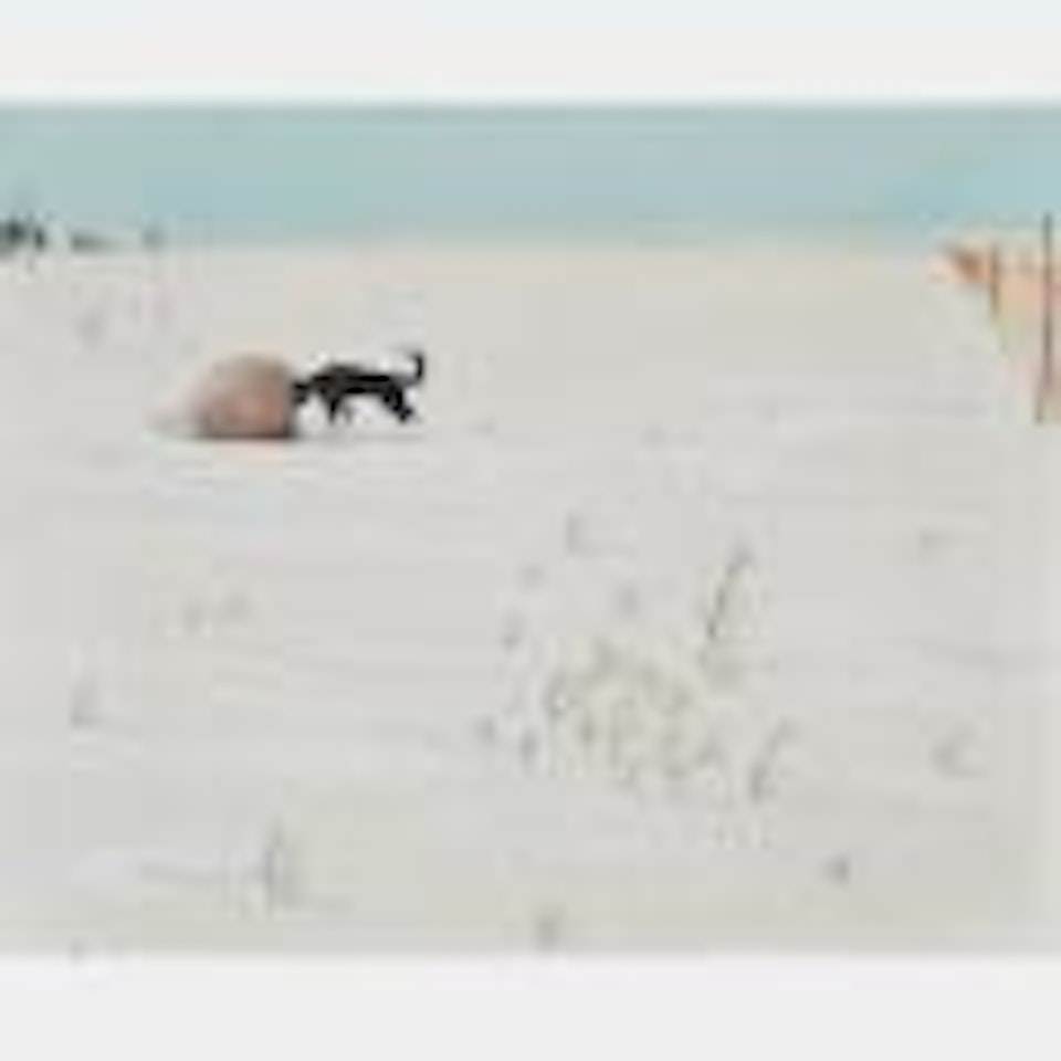 Dog & Rock, 1963 by William Kurelek